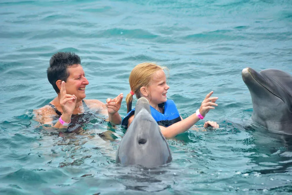 delfines en el caribe con niños